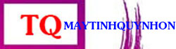 maytinhquynhon.com